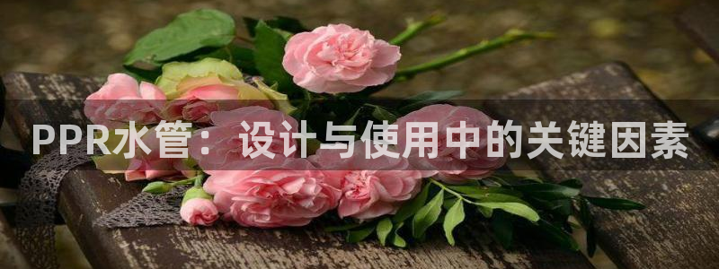 威九国际和之前