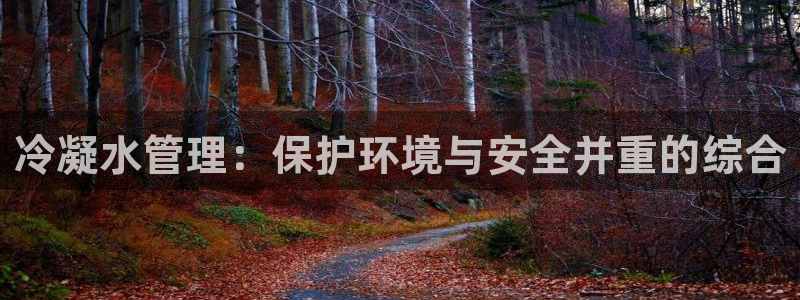 威九国际官网登录入口网址