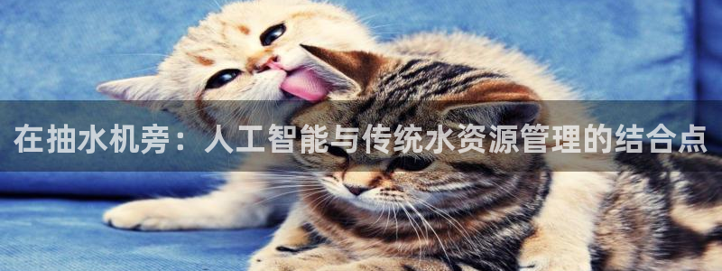 威九国际免费ppt网址
