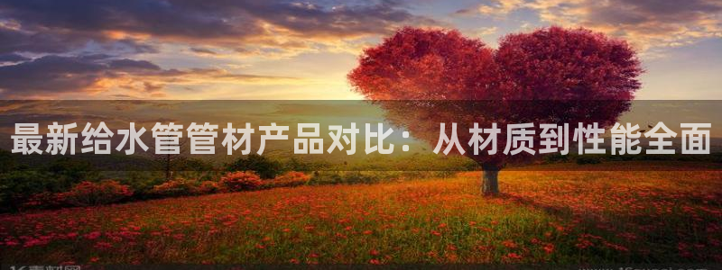 威九国际MM