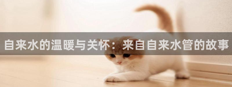 78mapp威九国际免费官方版下载