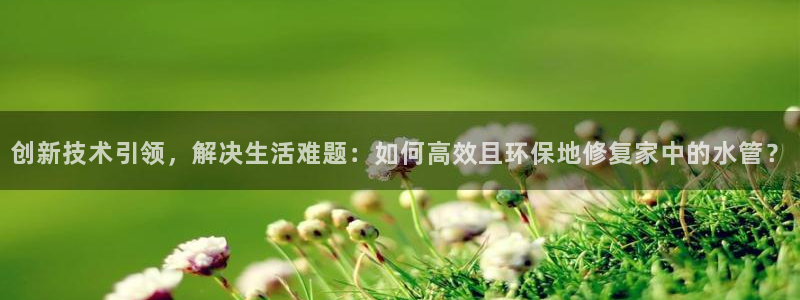 威九国际ppt免费