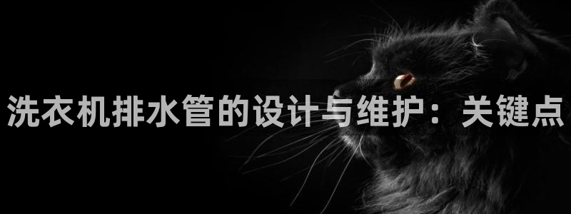 78mapp威九国际