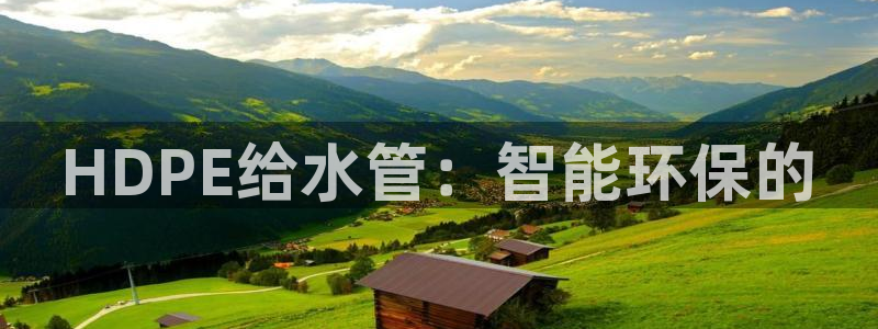 威九国际网站入囗