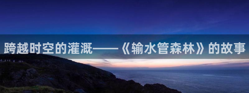 威九国际网站经常打不开网页