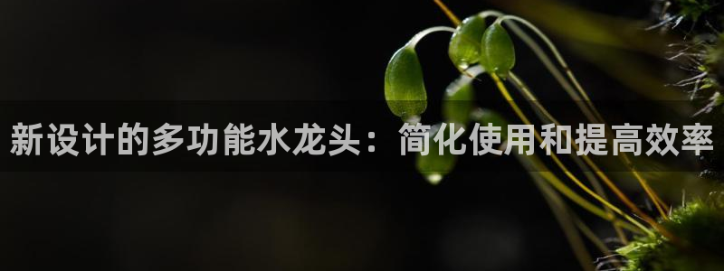 威九国际地址