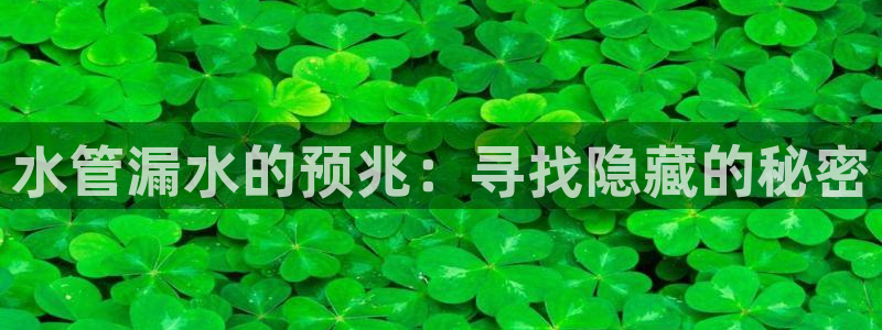 威九国际旗下艺人都有谁