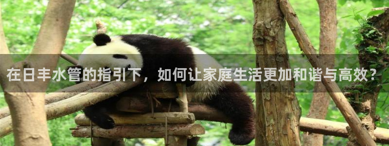 威九国际网站影视