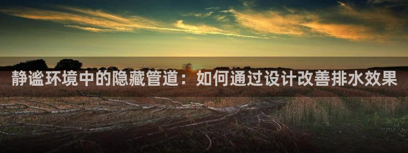 威九国际网站怎么样知乎