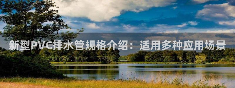 威九国际网站入口官网免费下载