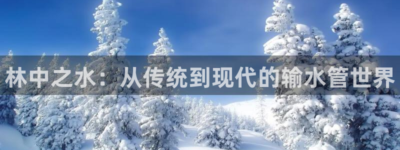 威九国际66视频