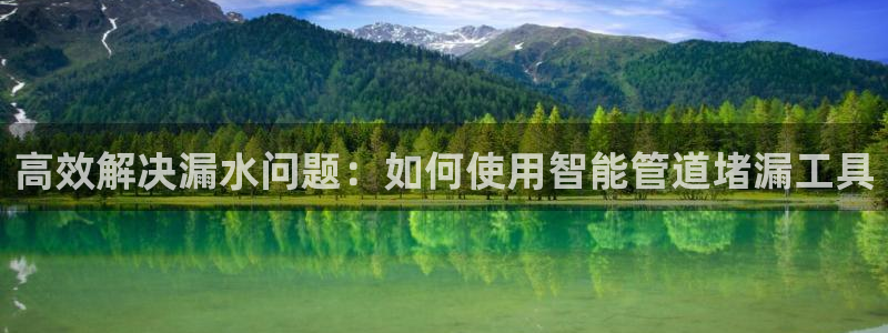 威九国际女主名字