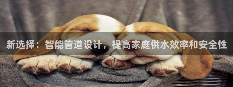 威九国际真人玩家在线对战