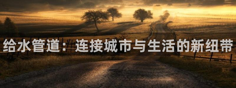 威九国际网站人入口