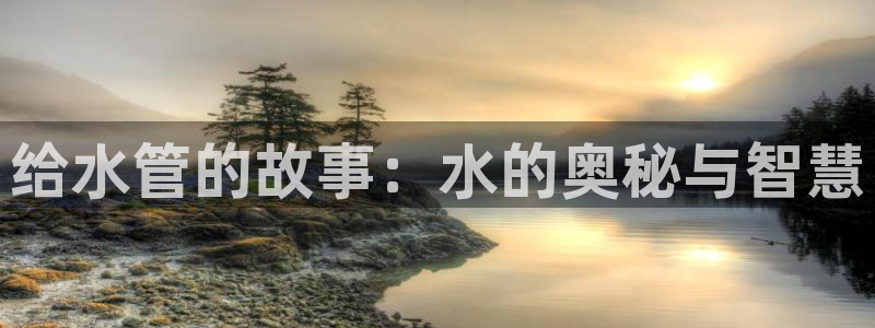 威九国际网站入口官网免费