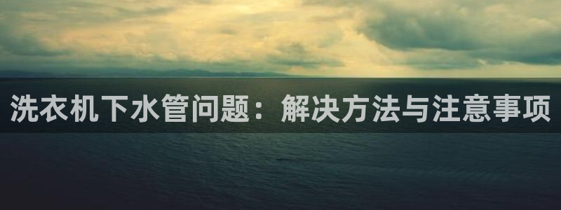 威九国际软件公司简介