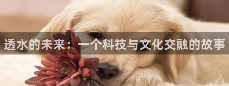 66m成长模式视频威九国际视频