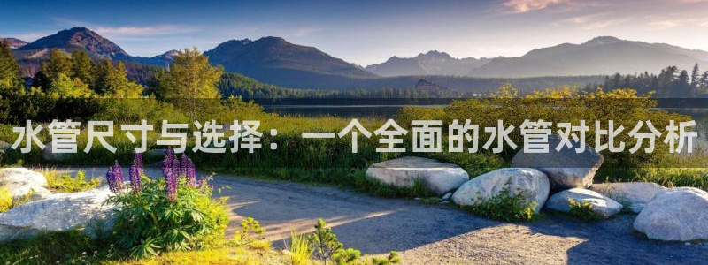 威九国际官方入口