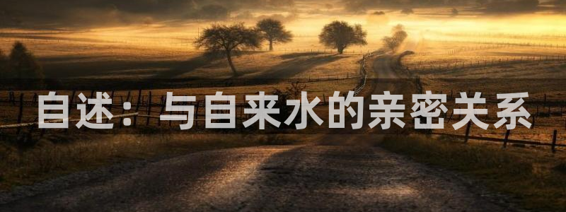 威九国际网站入口官网首页登录