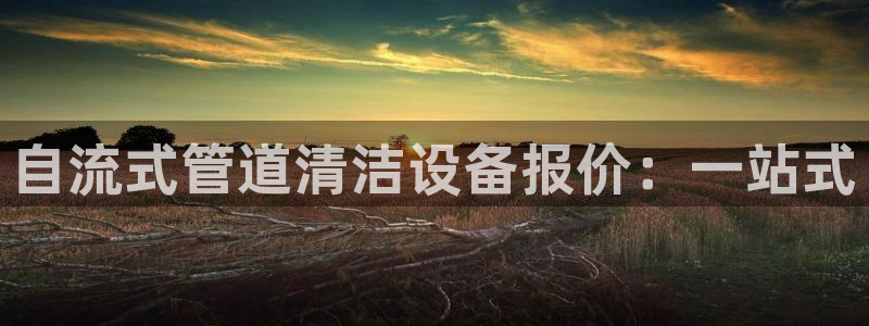 威九国际电子有限公司