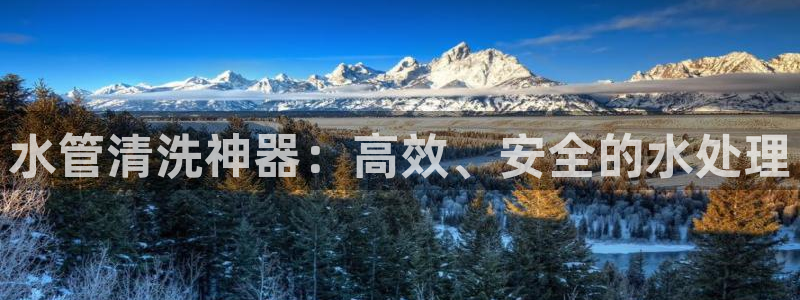 保定威九网络科技有限公司怎么样