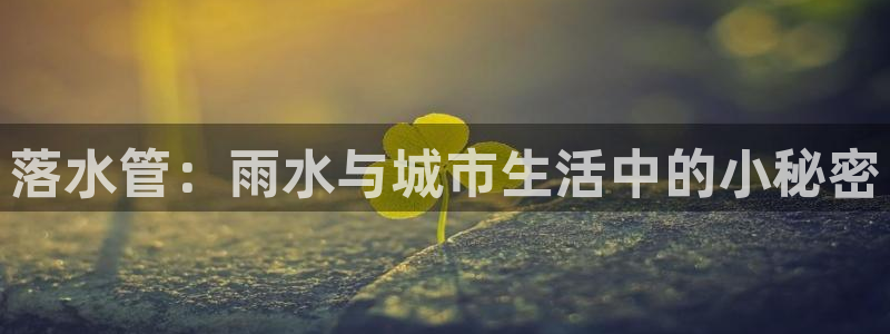 威九国际特殊奖励