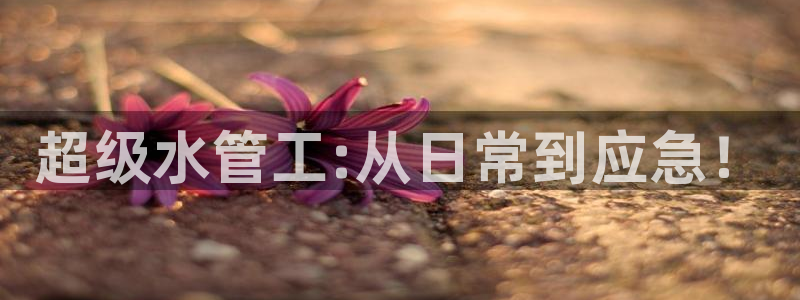 威九国际客服电话号码查询