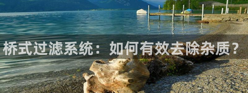 威九国际app网站安全吗