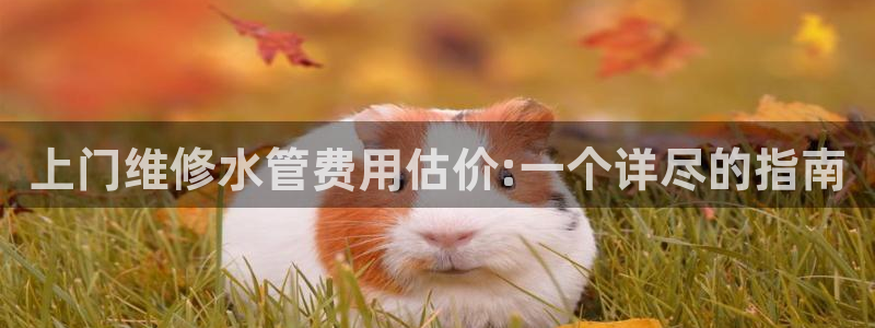 威九国际演员表