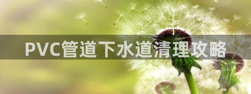 威九国际网站下载