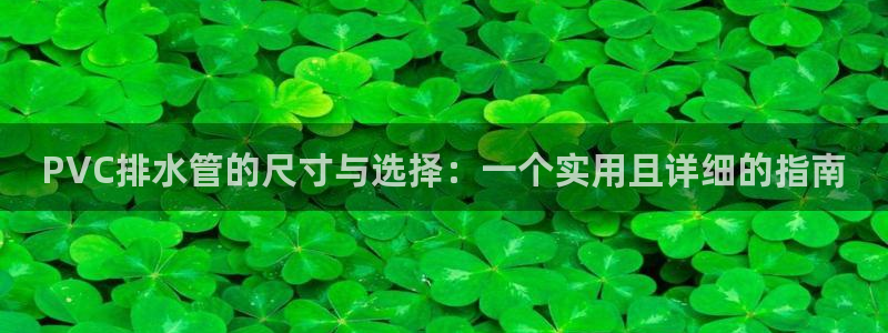 威九国际官网登录入口网址