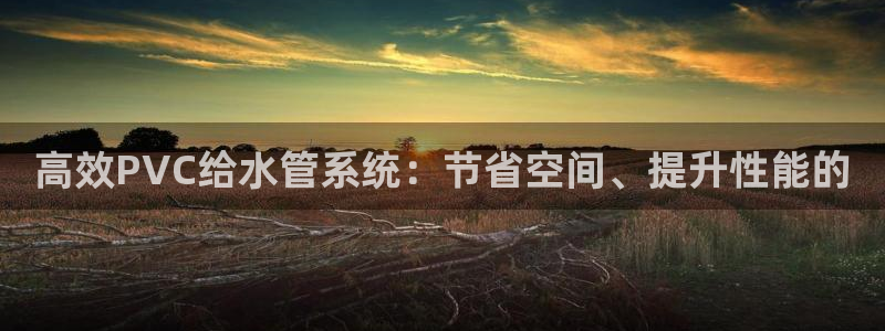 威九国际网站入囗