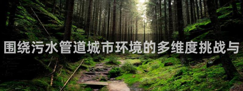 威九国际网站怎么样知乎