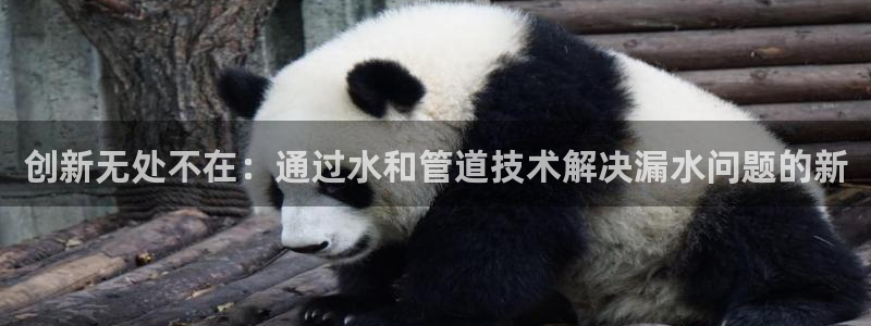 威九国际女主名字