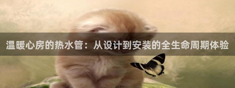 威九国际的金融服务有哪些