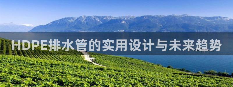 威九国际app客服电话号码