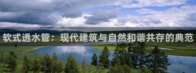 保定威九网络科技有限公司招聘