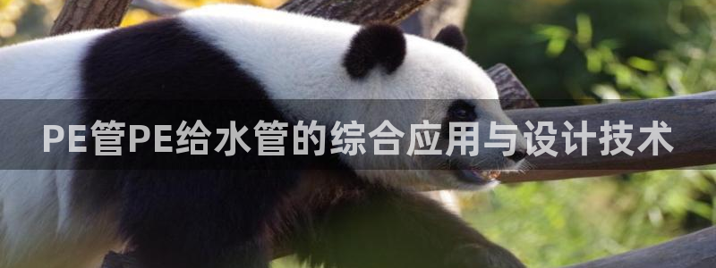 威九国际网站经常打不开怎么办