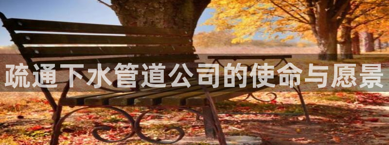 威九国际网站进入公司不断创新