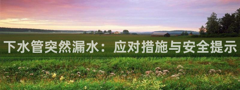 威九国际瘫痪丈夫眼见证