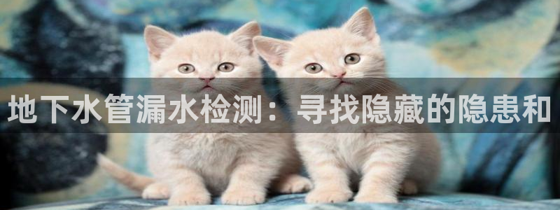 威九国际旗下艺人