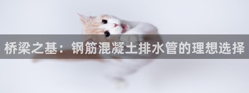 78mapp威九国际官网版