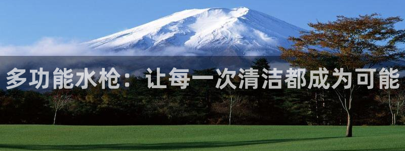 威九国际网站在哪里