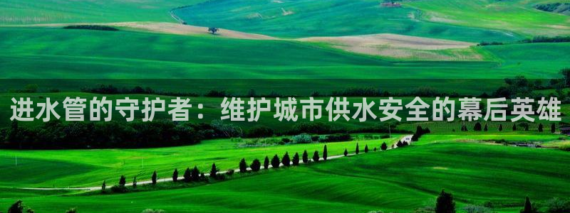 威九国际网站进入客服中心